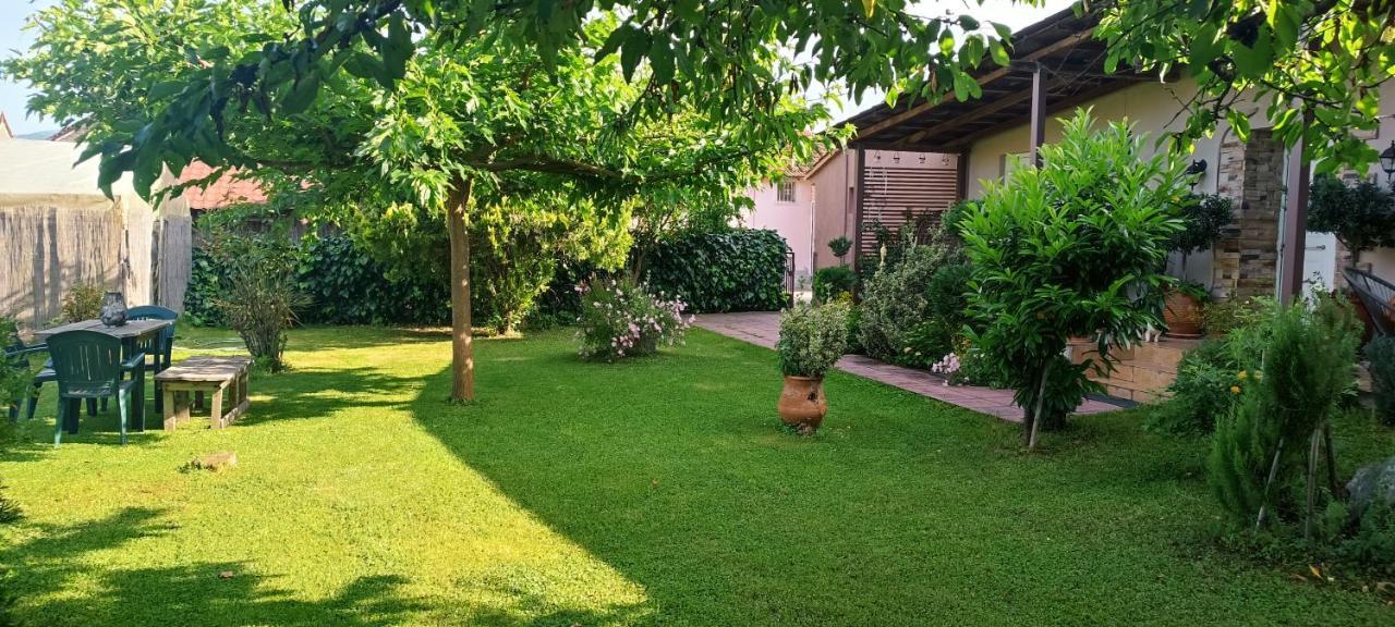 Villa Gomfoi Tríkala Exterior foto